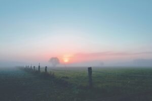Peaceful morning landscape with fog and sunrise over a fenced countryside field.