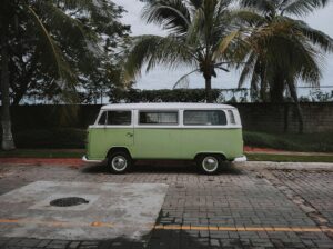 Classic green Volkswagen van parked outdoors under palm trees on a sunny day.